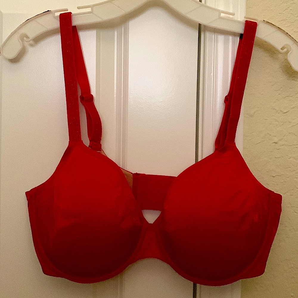 A beautiful shimmering bra